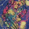 Colorful Wolf With Dream Catcher Art Diamond Painting