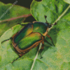 Green And Brown Scarab Diamond Painting
