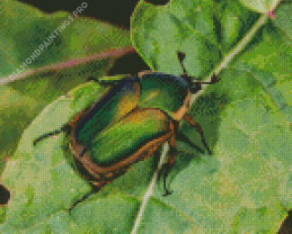 Green And Brown Scarab Diamond Painting
