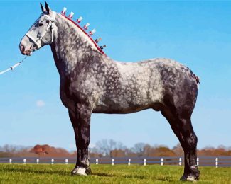 Grey Percheron Horse Diamond Painting