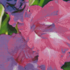 Purple Gladiolus Diamond Painting