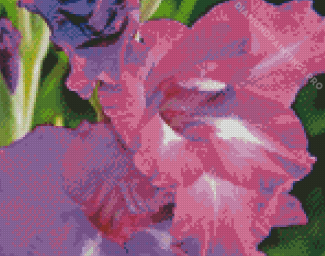 Purple Gladiolus Diamond Painting
