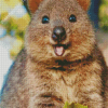 Quokka Diamond Painting