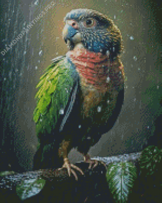 Red Fan Parrot Diamond Painting
