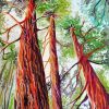 Sequoia National Forest Trees Diamond Painting