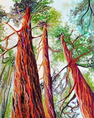 Sequoia National Forest Trees Diamond Painting