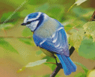 Aesthetic Blue Tit Bird Diamond Painting