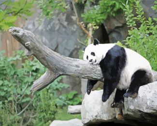 Fat Sleeping Panda Diamond Painting