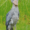 Nile Shoebill Diamond Painting