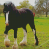 The Shire Horse Diamond Painting