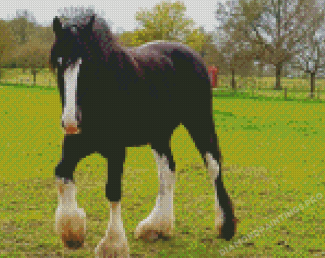 The Shire Horse Diamond Painting