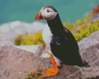 Puffin On The Rock Diamond Painting