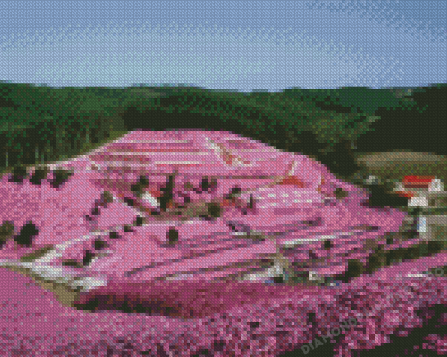 Purple Fields Hokkaido Garden Diamond Painting
