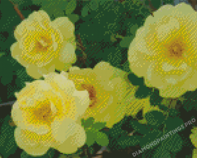 Yellow Austrian Briar Rose Diamond Painting